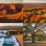 Why United States Culture Feels So Strange (And Why You’ll Love It Anyway.